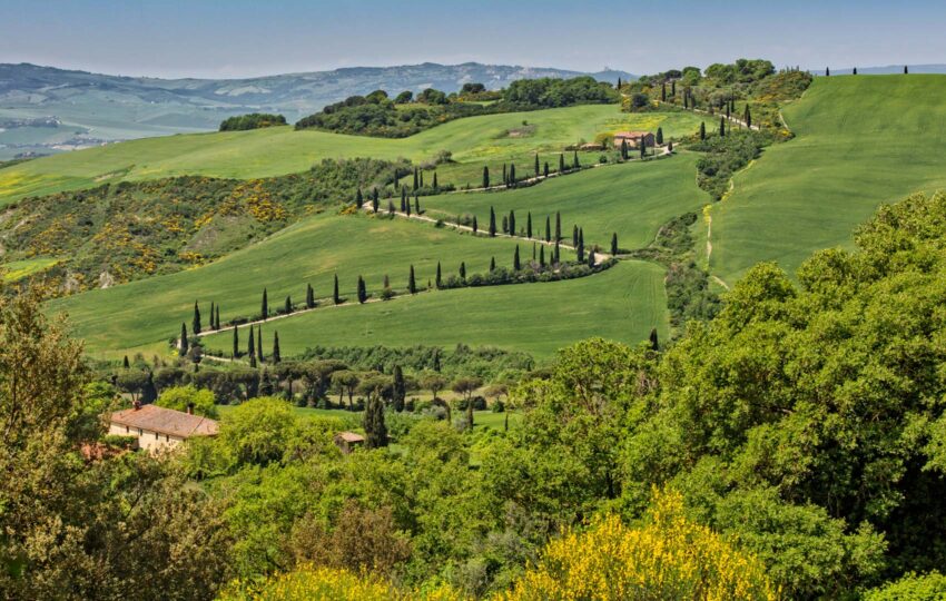 Classic car tour Tuscany cypress road