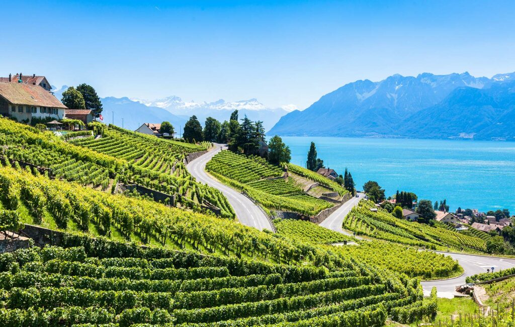 French Alps & Lavaux