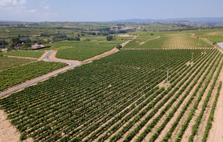 Penedes road trip